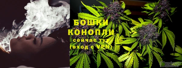 мдпв Елизово